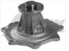 NISSA 2101044G25 Water Pump